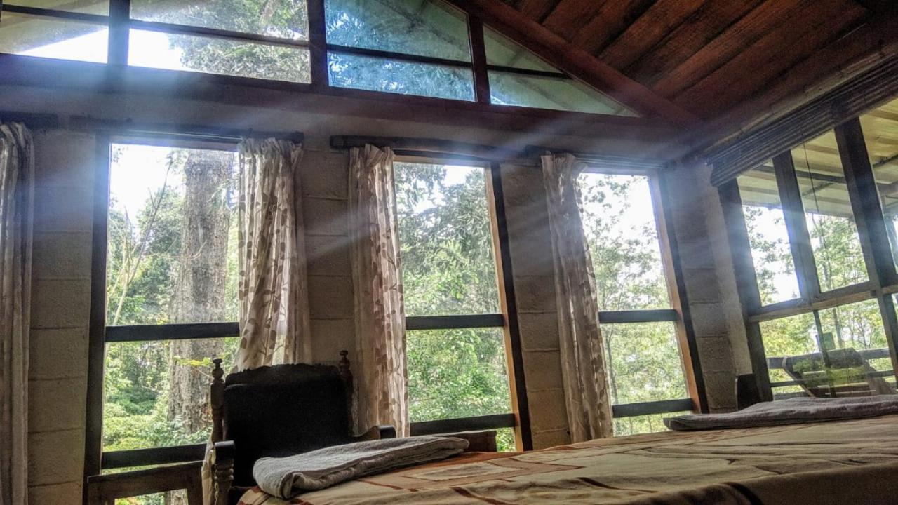 Jungle Jive Treehouse And Farm House Munnar Exteriér fotografie