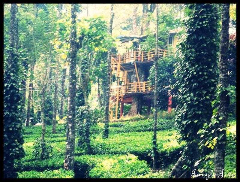 Jungle Jive Treehouse And Farm House Munnar Exteriér fotografie