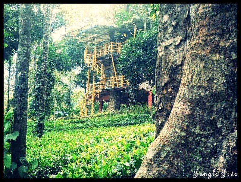 Jungle Jive Treehouse And Farm House Munnar Exteriér fotografie