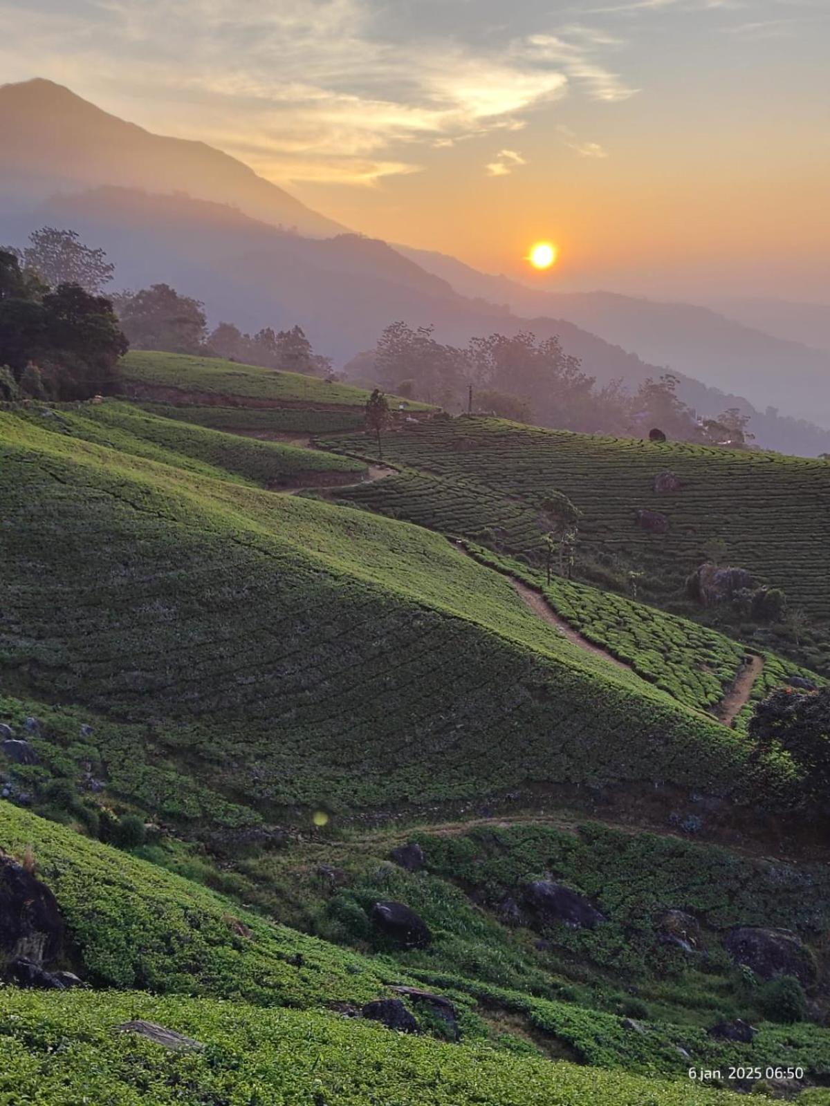 Jungle Jive Treehouse And Farm House Munnar Exteriér fotografie