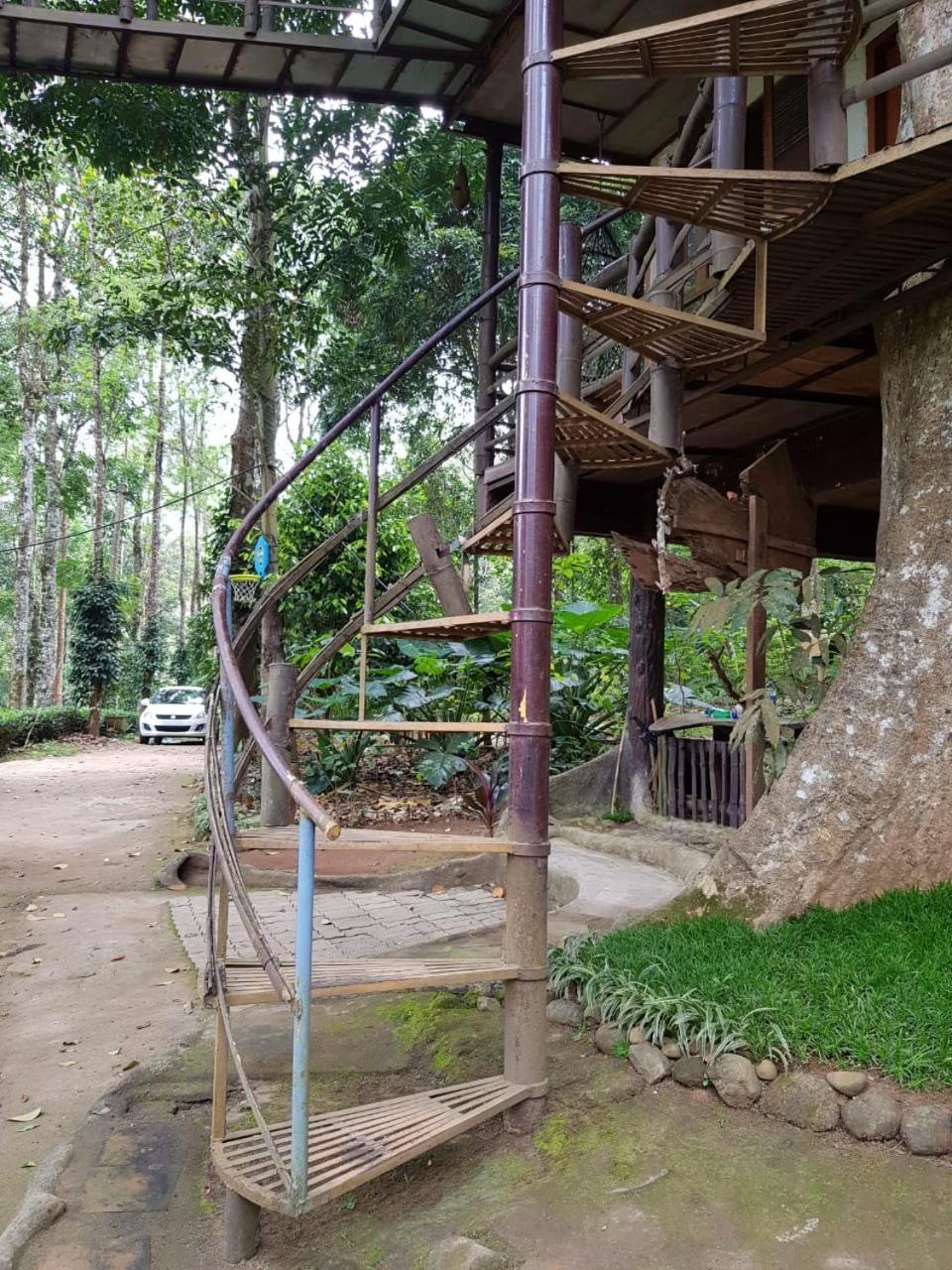 Jungle Jive Treehouse And Farm House Munnar Exteriér fotografie