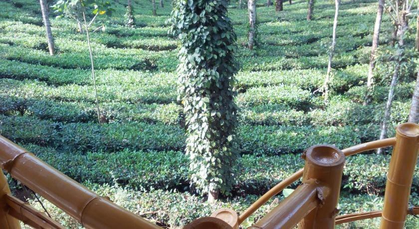 Jungle Jive Treehouse And Farm House Munnar Exteriér fotografie